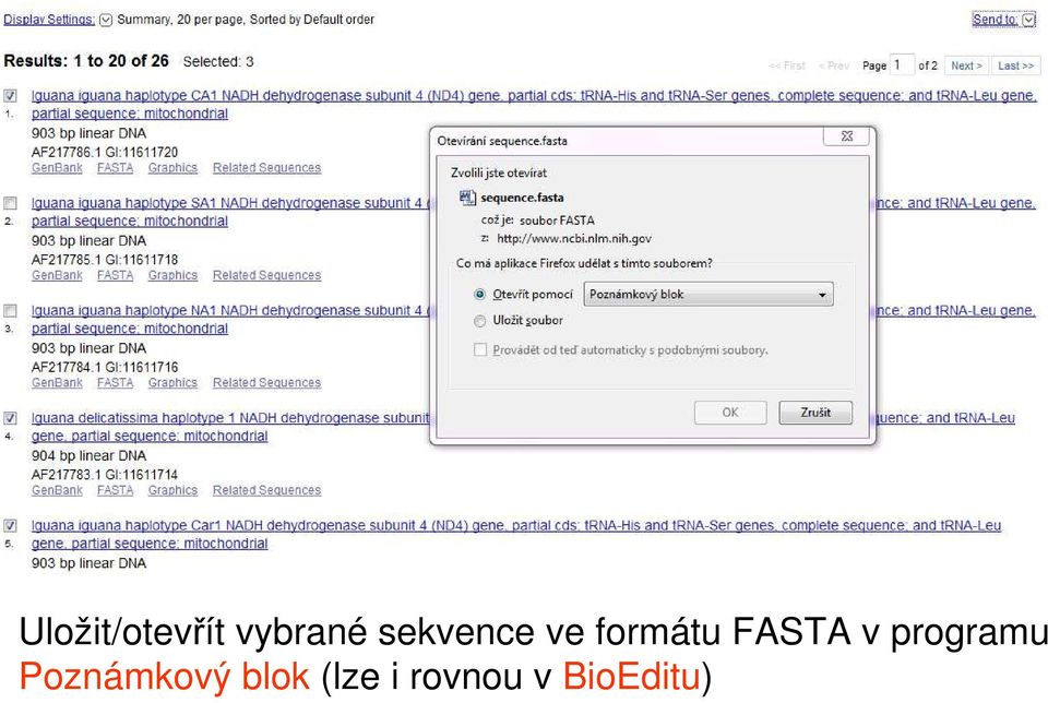 v programu Poznámkový