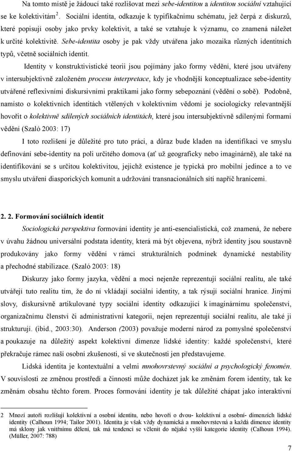 Sebe-identita osoby je pak vždy utvářena jako mozaika různých identitních typů, včetně sociálních identit.