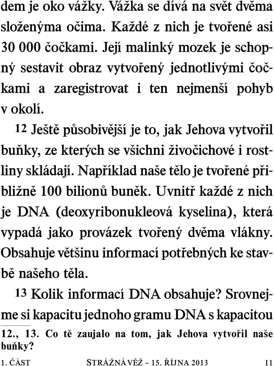 Nap r ıklad na se t elo je tvo ren ep ribli zn e 100 bilion ubun ek. Uvnit rka zd eznich je DNA (deoxyribonukleov a kyselina), kter a vypad a jako prov azek tvo ren ydv ema vl akny.