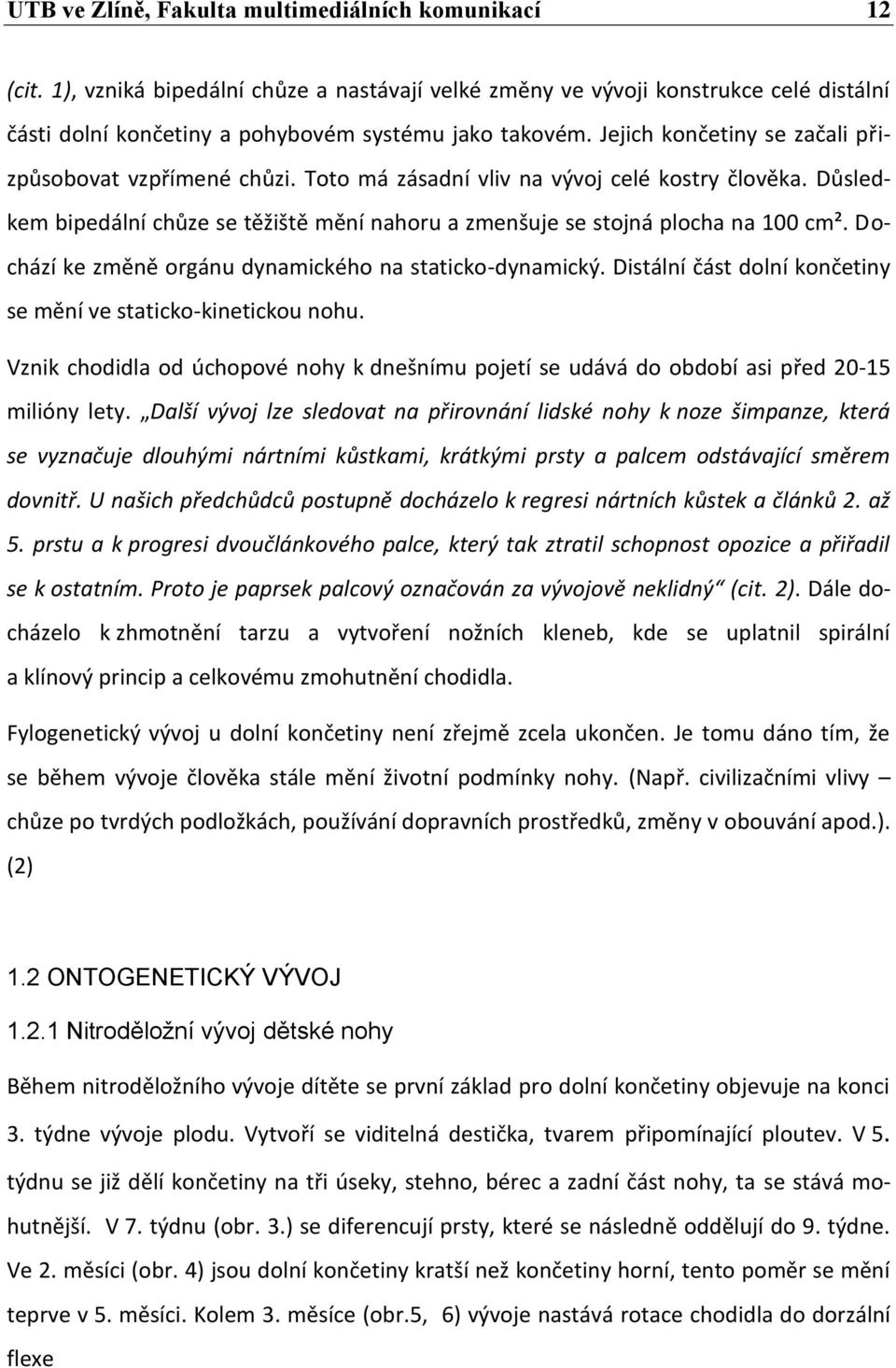 Dochází ke změně orgánu dynamického na staticko-dynamický. Distální část dolní končetiny se mění ve staticko-kinetickou nohu.