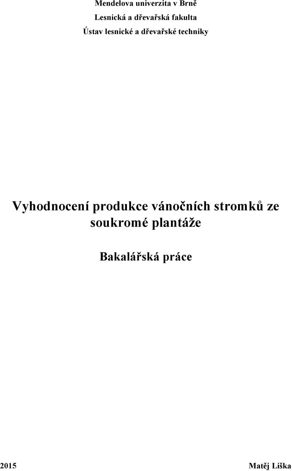 techniky Vyhodnocení produkce vánočních