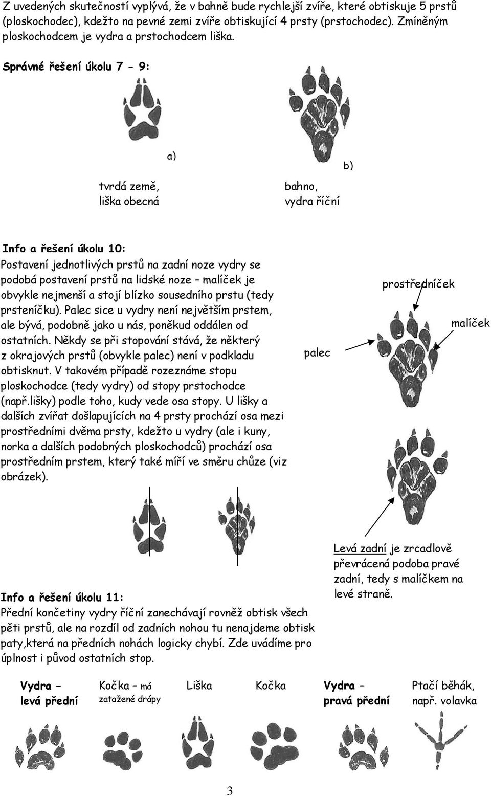 Správné řešení úkolu 7-9: a) b) tvrdá země, liška obecná bahno, vydra říční Info a řešení úkolu 10: Postavení jednotlivých prstů na zadní noze vydry se podobá postavení prstů na lidské noze malíček