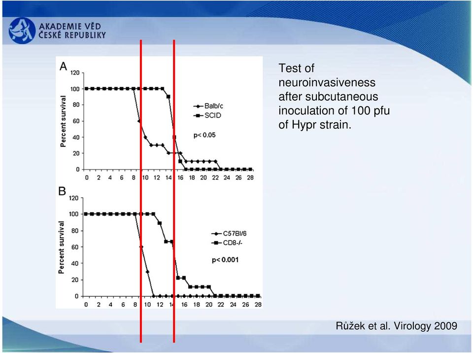 inoculation of 100 pfu of