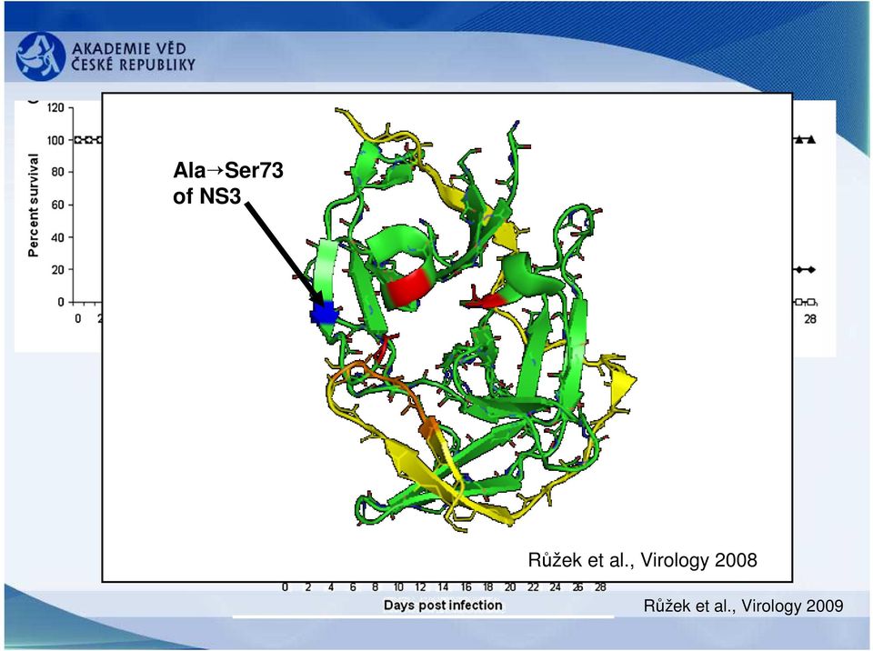 , Virology 2008 ,