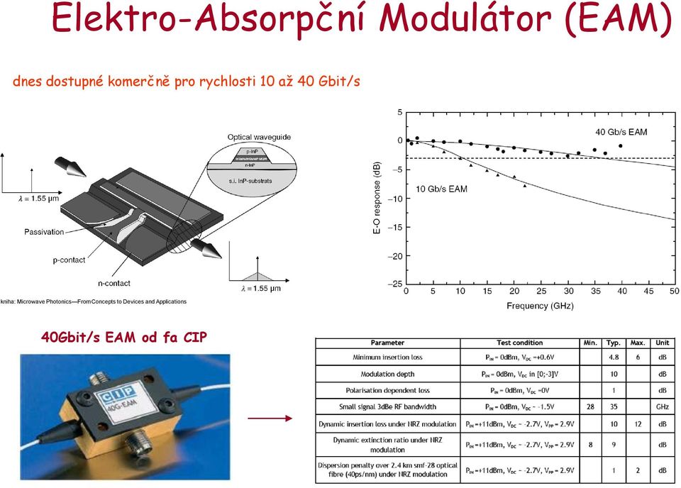 Gbit/s kniha: Microwave Photonics From