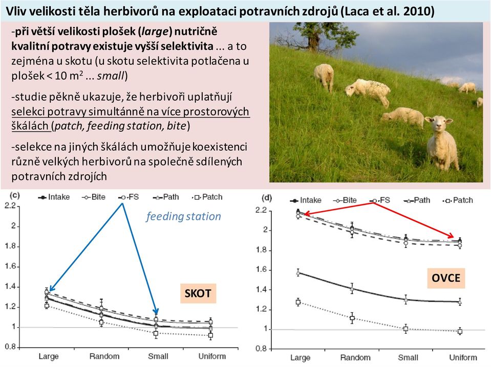 .. a to zejména u skotu (u skotu selektivita potlačena u plošek < 10 m 2.