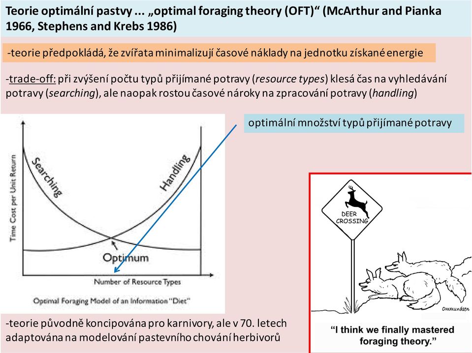 časové náklady na jednotku získané energie trade off: při zvýšení počtu typů přijímané potravy (resource types) klesá čas na