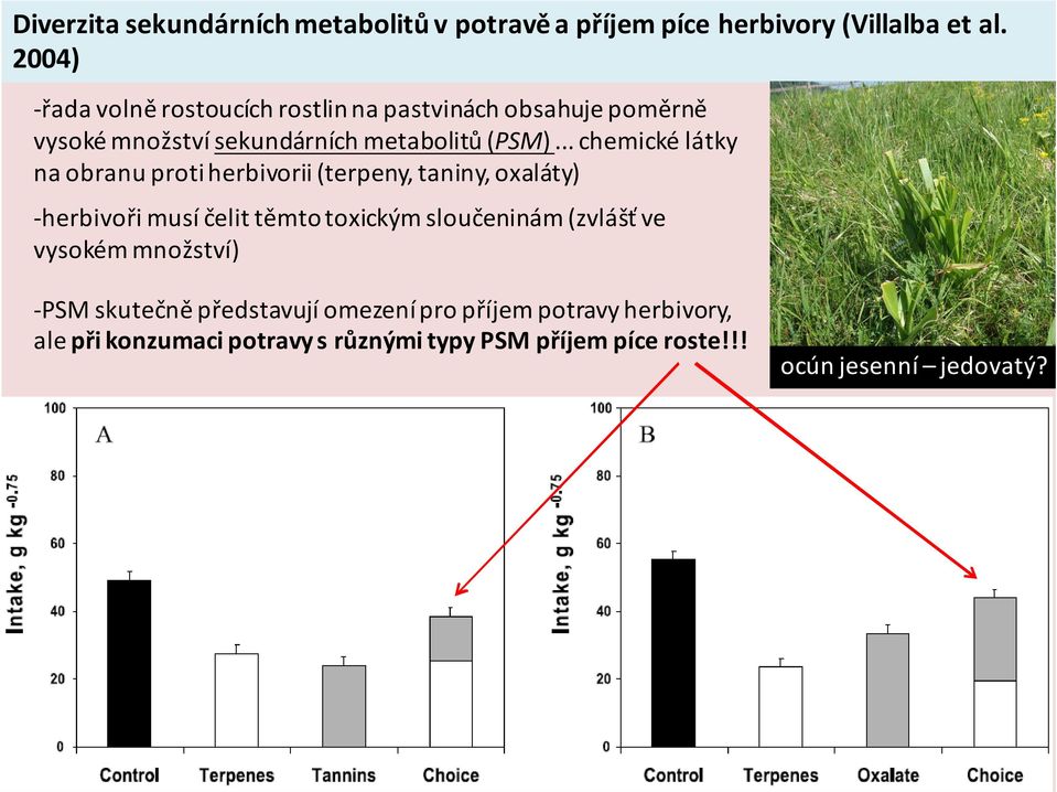 .. chemické látky na obranu proti herbivorii (terpeny, taniny, oxaláty) herbivoři musí čelit těmto toxickým sloučeninám