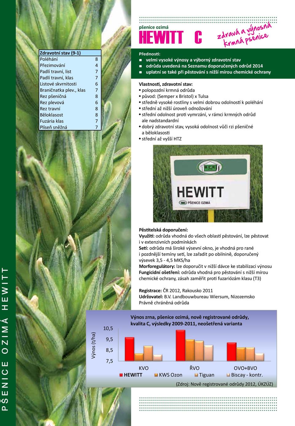 , klas Rez pšeničná 8 9 Rez plevová Rez travní 8 8 Běloklasost 8 8 Fuzária klas 8 Plíseň sněžná pšenice ozimá HEWITT C zdravá a výnosná krmná pšenice velmi vysoké výnosy a výborný zdravotní stav