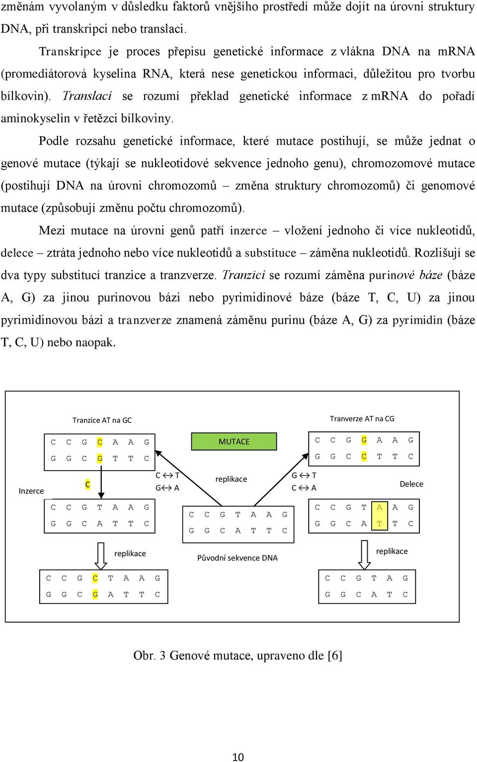 Translací se rozumí překlad genetické informace z mrna do pořadí aminokyselin v řetězci bílkoviny.