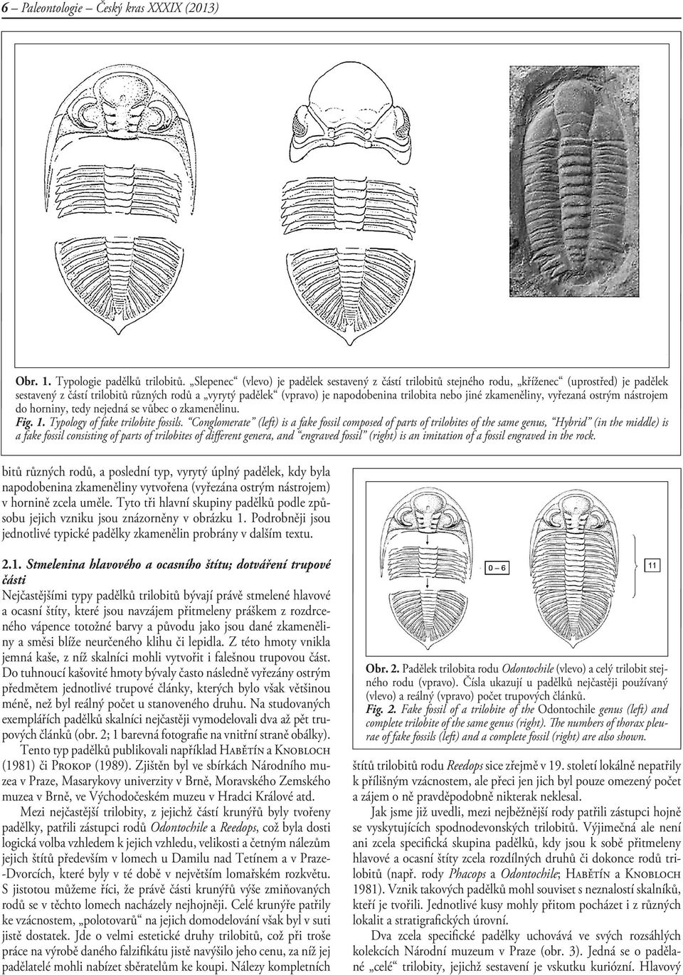 nebo jiné zkameněliny, vyřezaná ostrým nástrojem do horniny, tedy nejedná se vůbec o zkamenělinu. Fig. 1. Typology of fake trilobite fossils.