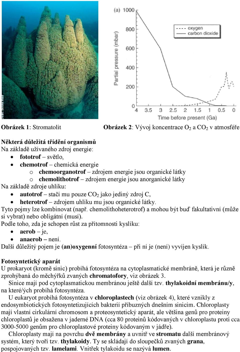 zdrojem uhlíku mu jsou organické látky. Tyto pojmy lze kombinovat (např. chemolithoheterotrof) a mohou být buď fakultativní (může si vybrat) nebo obligátní (musí).