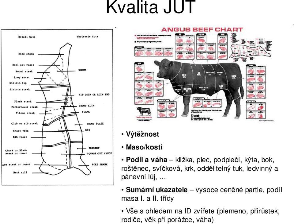 lůj, Sumární ukazatele vysoce ceněné partie, podíl masa I. a II.