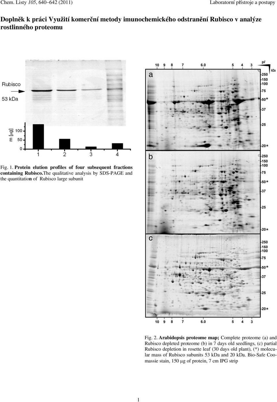 The qualitative analysis by SDS-PAGE and the quantitation of Rubisco large subunit Fig. 2.