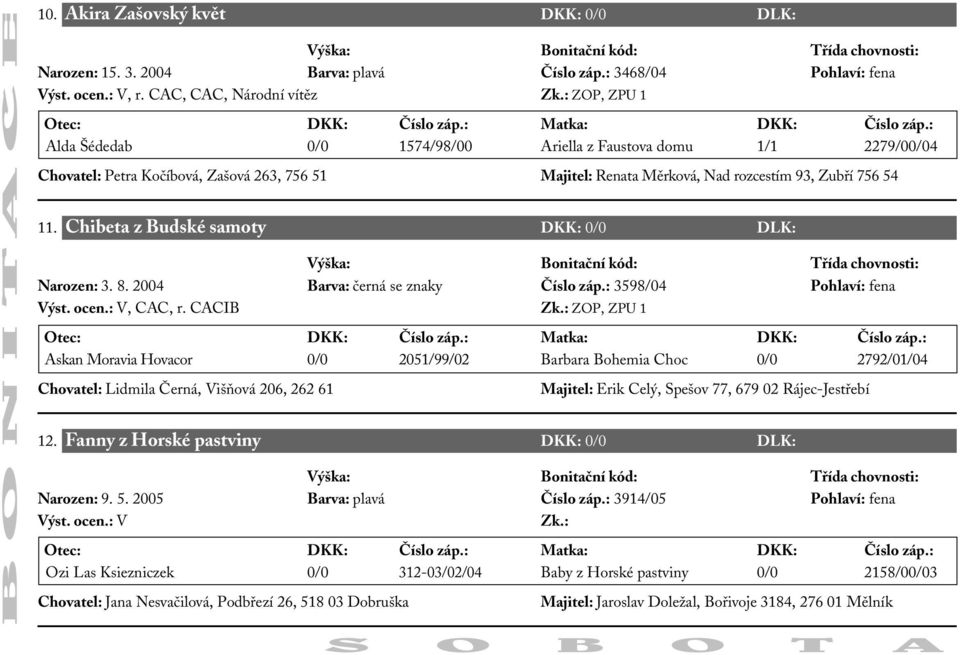 54 11. Chibeta z Budské samoty DKK: 0/0 DLK: Narozen: 3. 8. 2004 Barva: černá se znaky Číslo záp.: 3598/04 Pohlaví: fena, CAC, r.