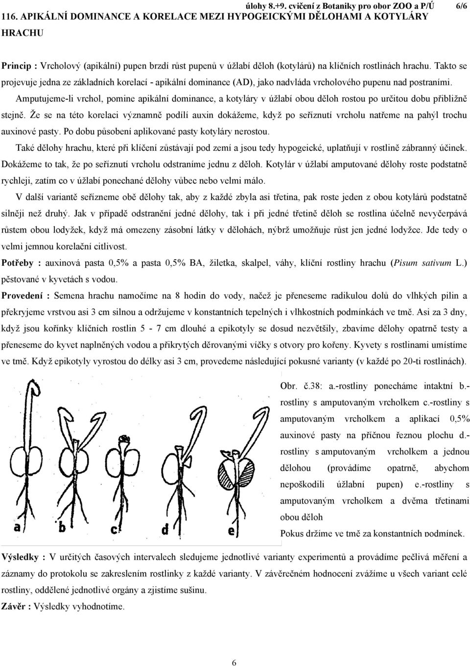 Takto se projevuje jedna ze základních korelací - apikální dominance (AD), jako nadvláda vrcholového pupenu nad postraními.