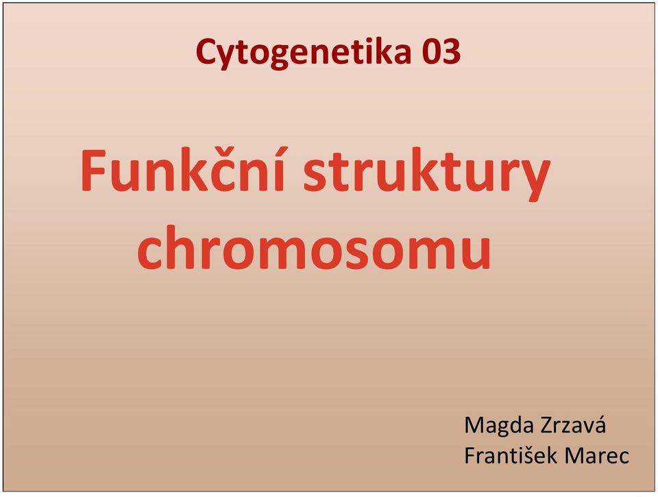 chromosomu Magda