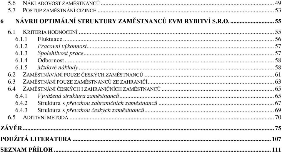 3 ZAMĚSTNÁNÍ POUZE ZAMĚSTNANCŮ ZE ZAHRANIČÍ... 63 6.4 ZAMĚSTNÁNÍ ČESKÝCH I ZAHRANIČNÍCH ZAMĚSTNANCŮ... 65 6.4.1 Vyvážená struktura zaměstnanců... 65 6.4.2 Struktura s převahou zahraničních zaměstnanců.