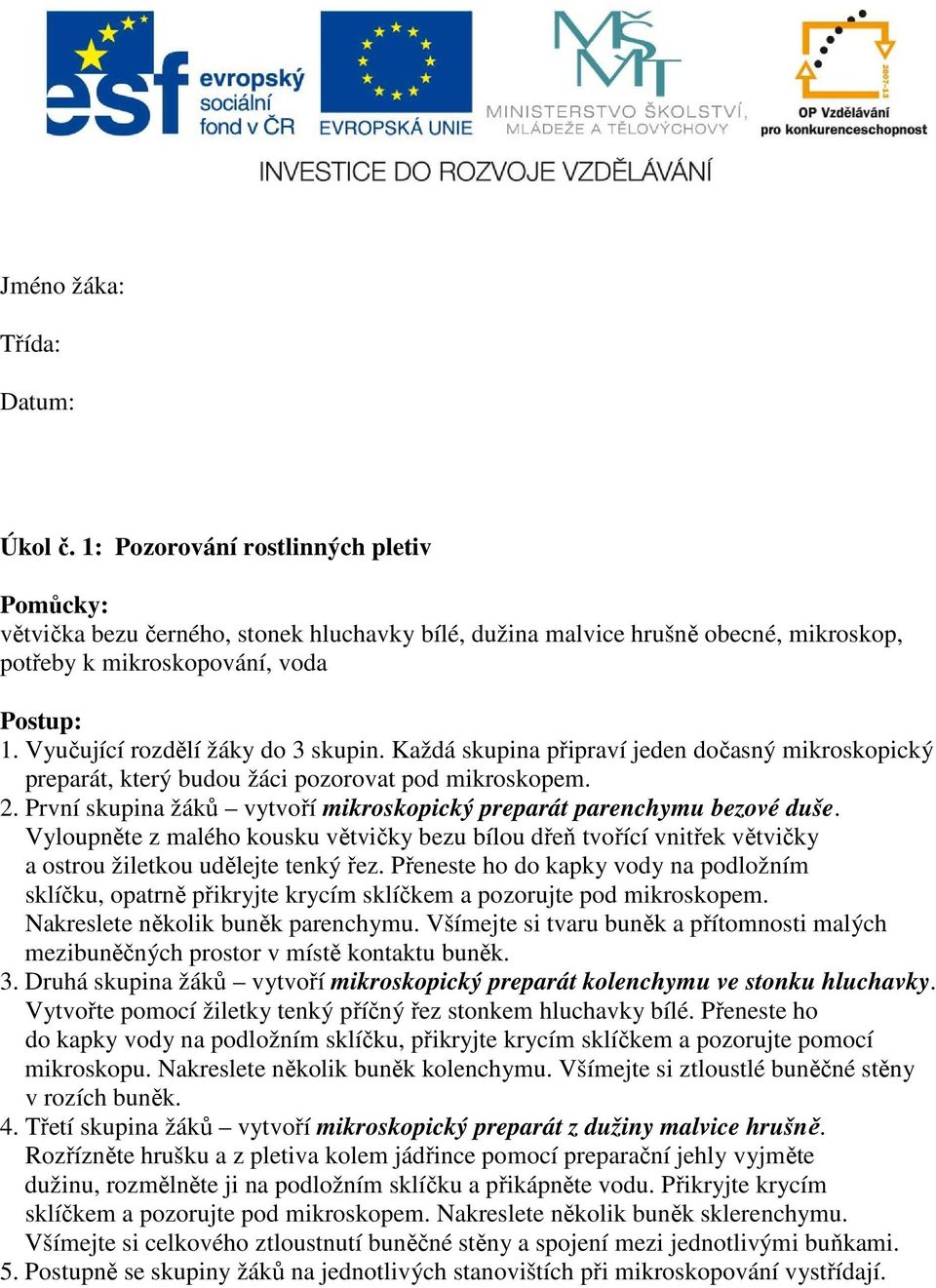 První skupina žáků vytvoří mikroskopický preparát parenchymu bezové duše. Vyloupněte z malého kousku větvičky bezu bílou dřeň tvořící vnitřek větvičky a ostrou žiletkou udělejte tenký řez.