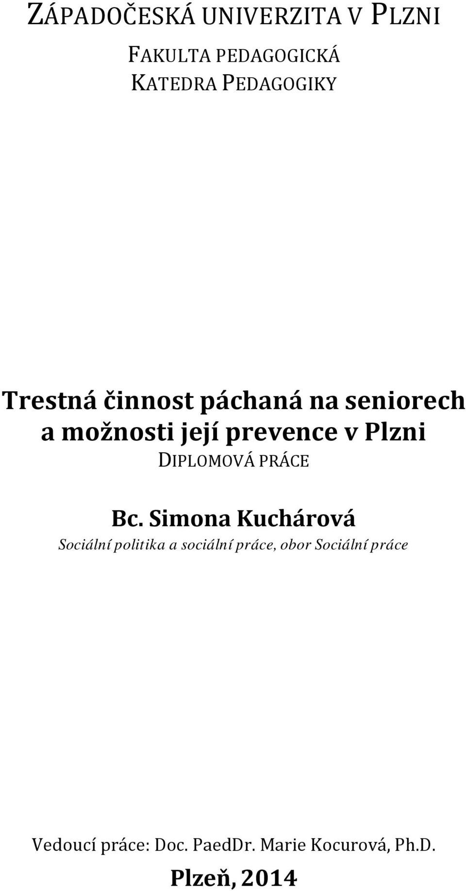 DIPLOMOVÁ PRÁCE Bc.