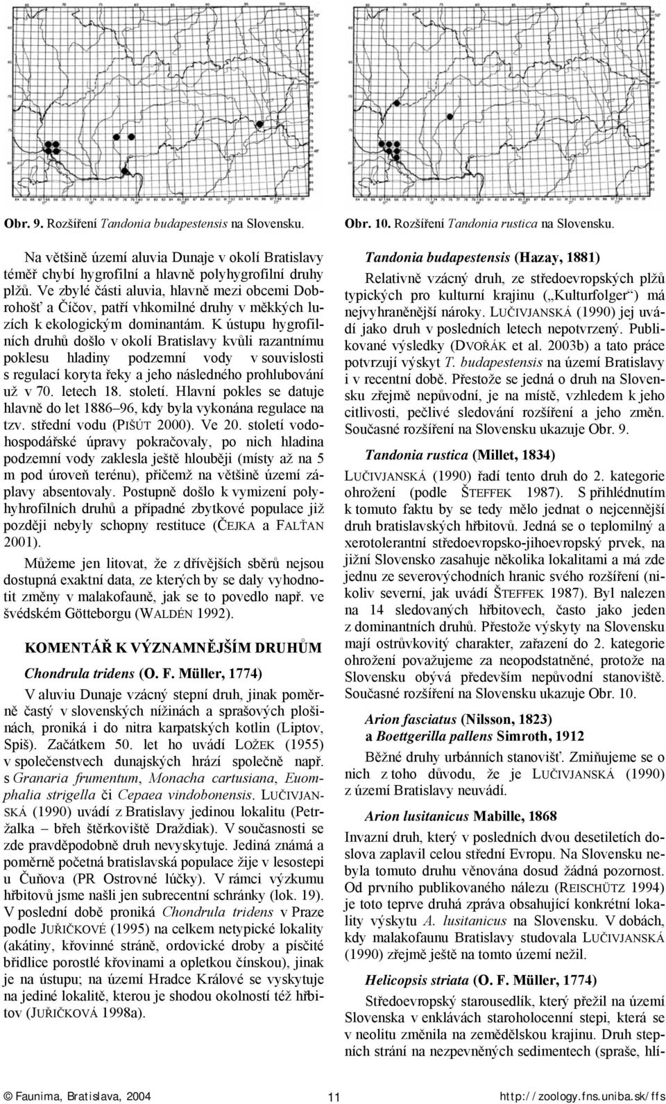 K ústupu hygrofilních druhů došlo v okolí Bratislavy kvůli razantnímu poklesu hladiny podzemní vody v souvislosti s regulací koryta řeky a jeho následného prohlubování už v 70. letech 18. století.