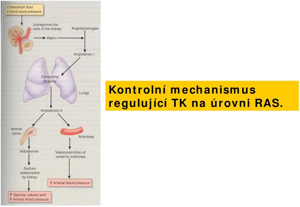 regulující