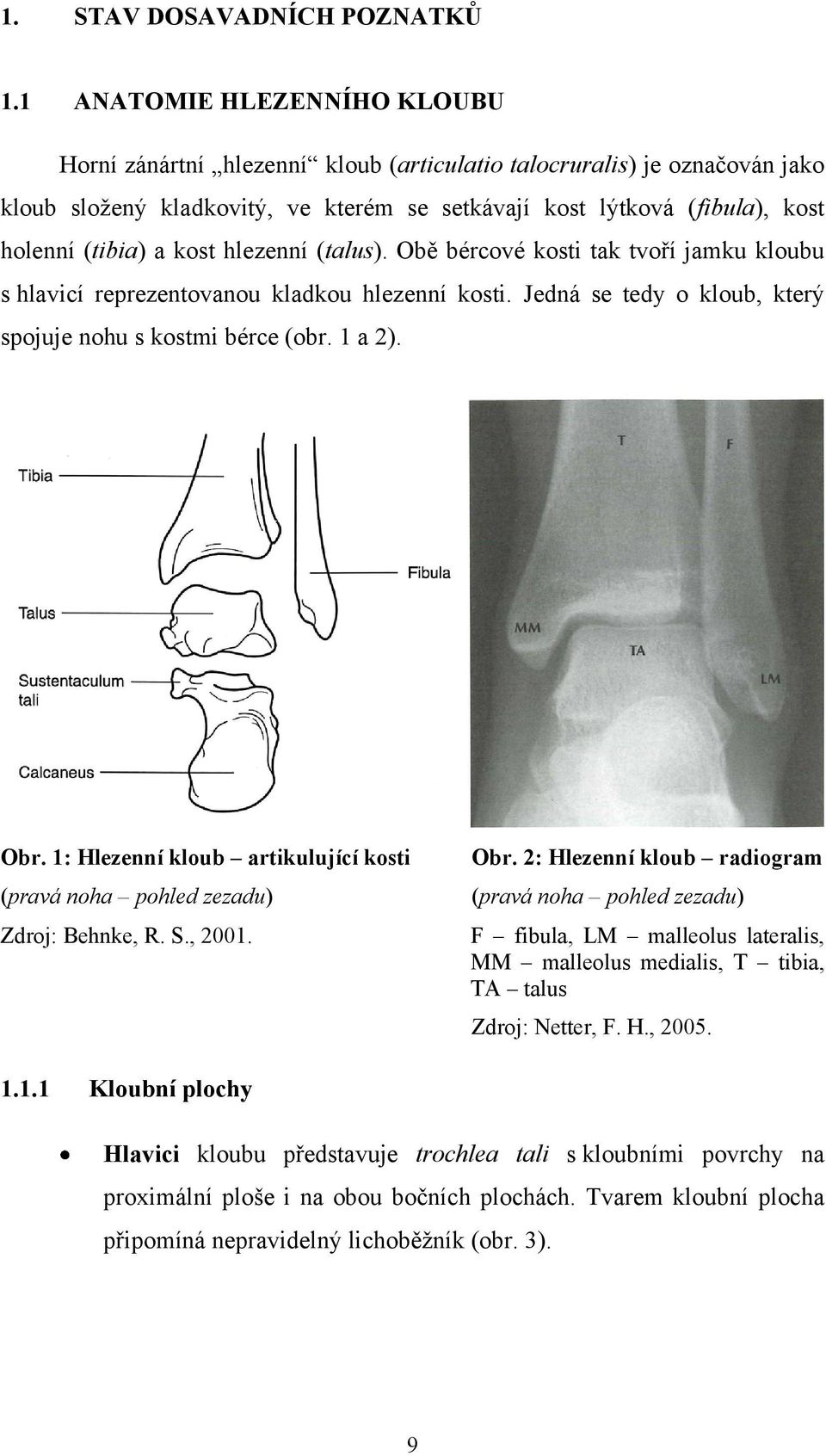 kost hlezenní (talus). Obě bércové kosti tak tvoří jamku kloubu s hlavicí reprezentovanou kladkou hlezenní kosti. Jedná se tedy o kloub, který spojuje nohu s kostmi bérce (obr. 1 a 2). Obr.