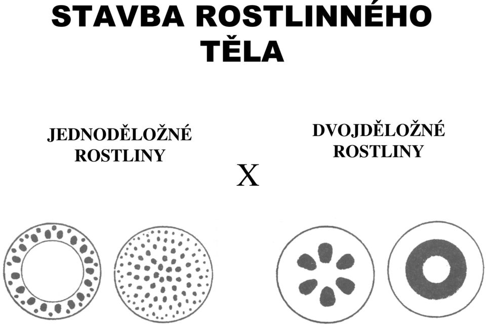 JEDNODĚLOŽNÉ