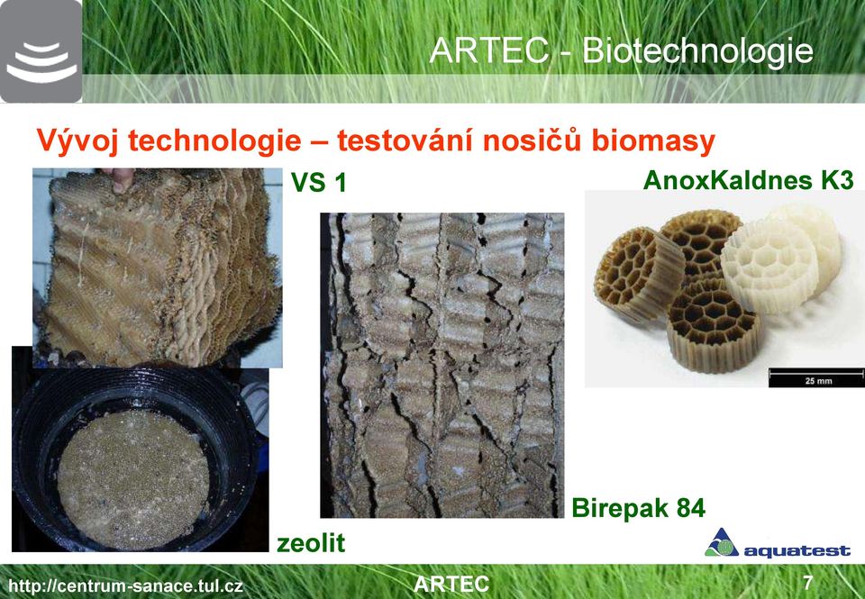 biomasy VS 1