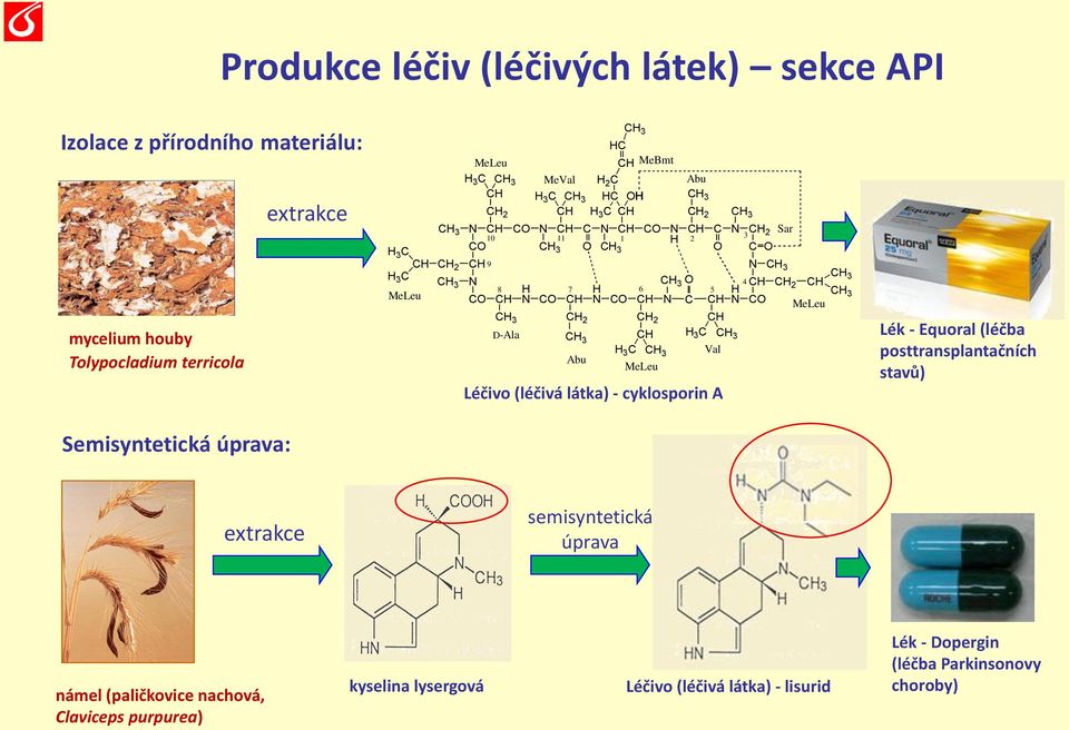 CH 3 O 4 8 7 6 5 N CO CH N C CH N CO MeLeu CH 3 CH 2 CH 2 CH D-Ala CH CH H 3 C CH 3 3 H 3 C CH 3 Val Abu MeLeu Léčivo (léčivá látka) - cyklosporin A Lék - Equoral (léčba posttransplantačních