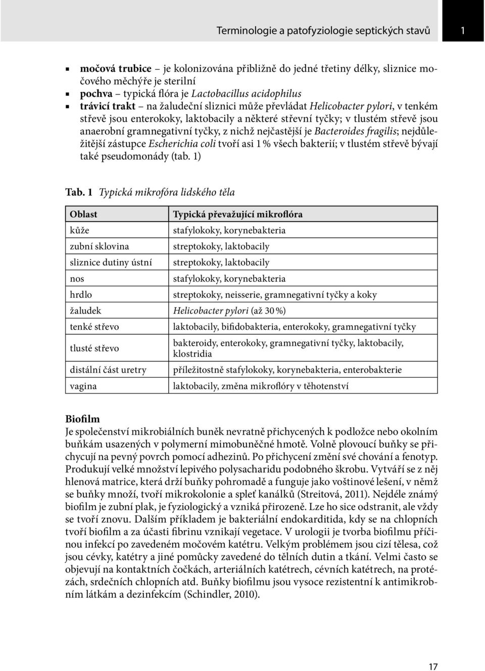 tyčky, z nichž nejčastější je Bacteroides fragilis; nejdůležitější zástupce Escherichia coli tvoří asi 1 % všech bakterií; v tlustém střevě bývají také pseudomonády (tab. 1) Tab.