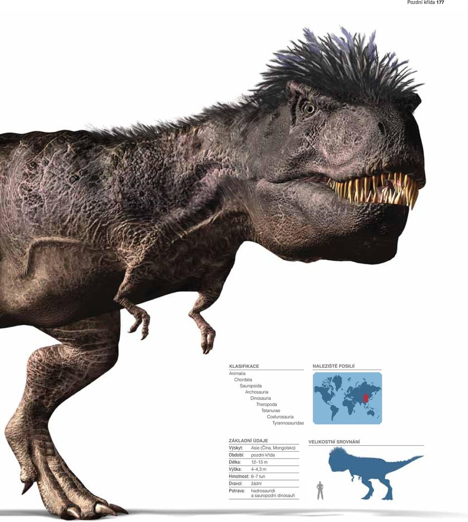 Výskyt: Období: Délka: Výška: Asie (Čína, Mongolsko) pozdní křída 12 13 m 4 4,3 m