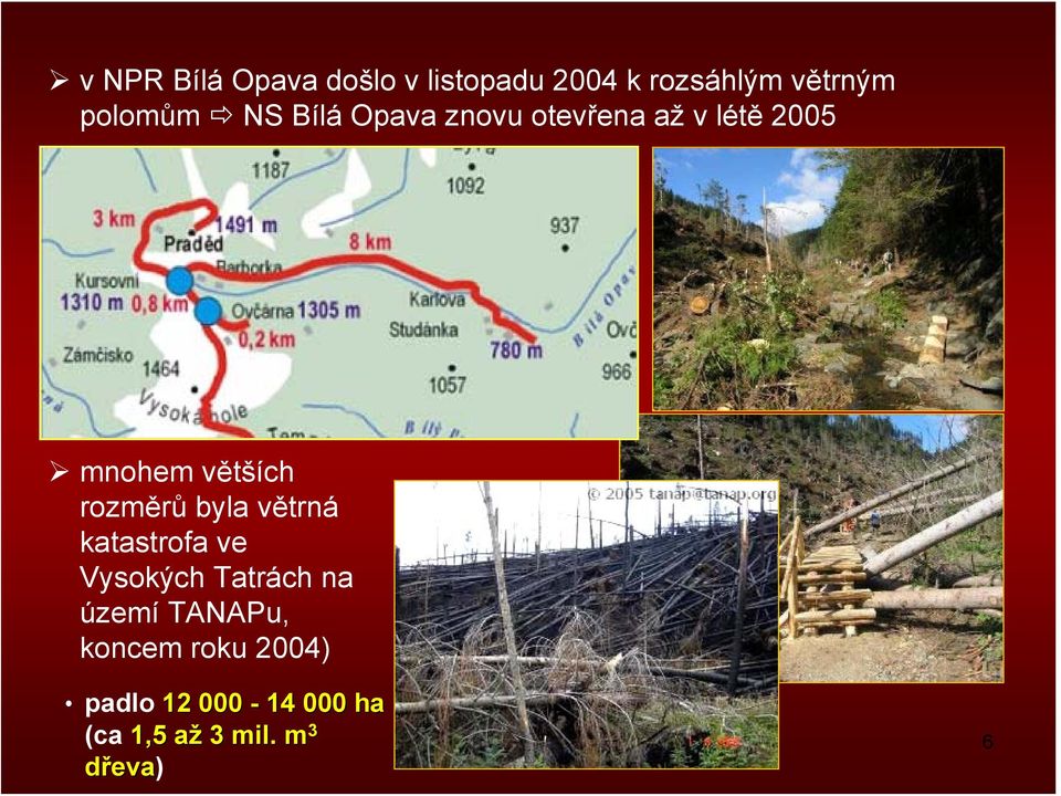 rozměrů byla větrná katastrofa ve Vysokých Tatrách na území