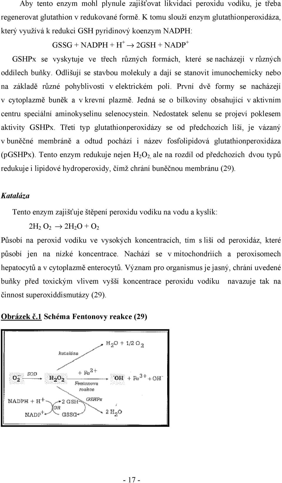 různých oddílech buňky. Odlišují se stavbou molekuly a dají se stanovit imunochemicky nebo na základě různé pohyblivosti v elektrickém poli.