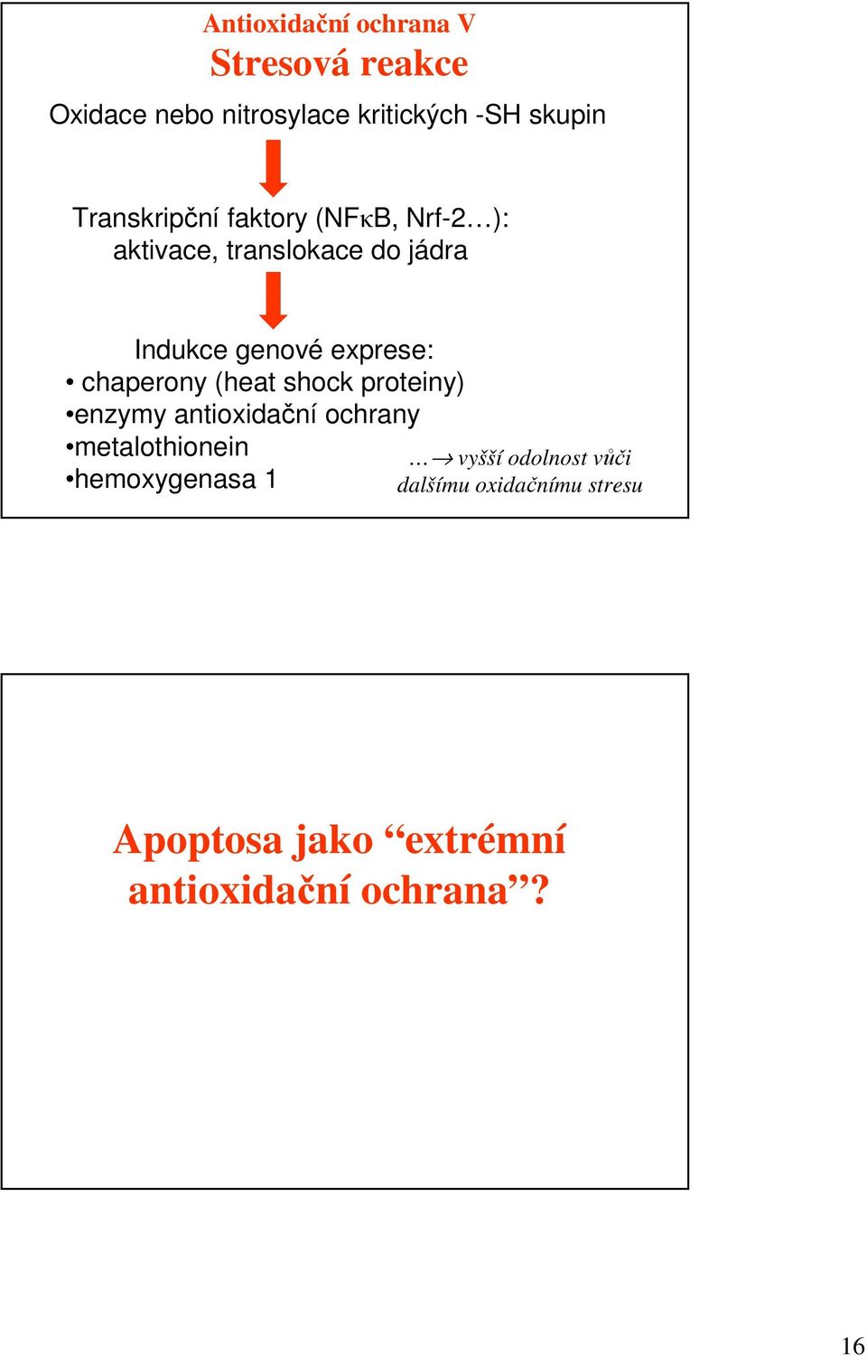 exprese: chaperony (heat shock proteiny) enzymy antioxidační ochrany metalothionein