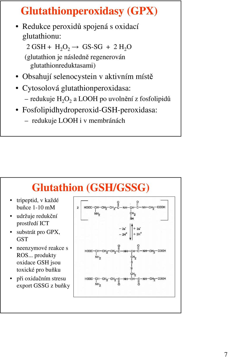 fosfolipidů Fosfolipidhydroperoxid-GSH-peroxidasa: redukuje LOOH i v membránách Glutathion (GSH/GSSG) tripeptid, v každé buňce 1-10 mm udržuje