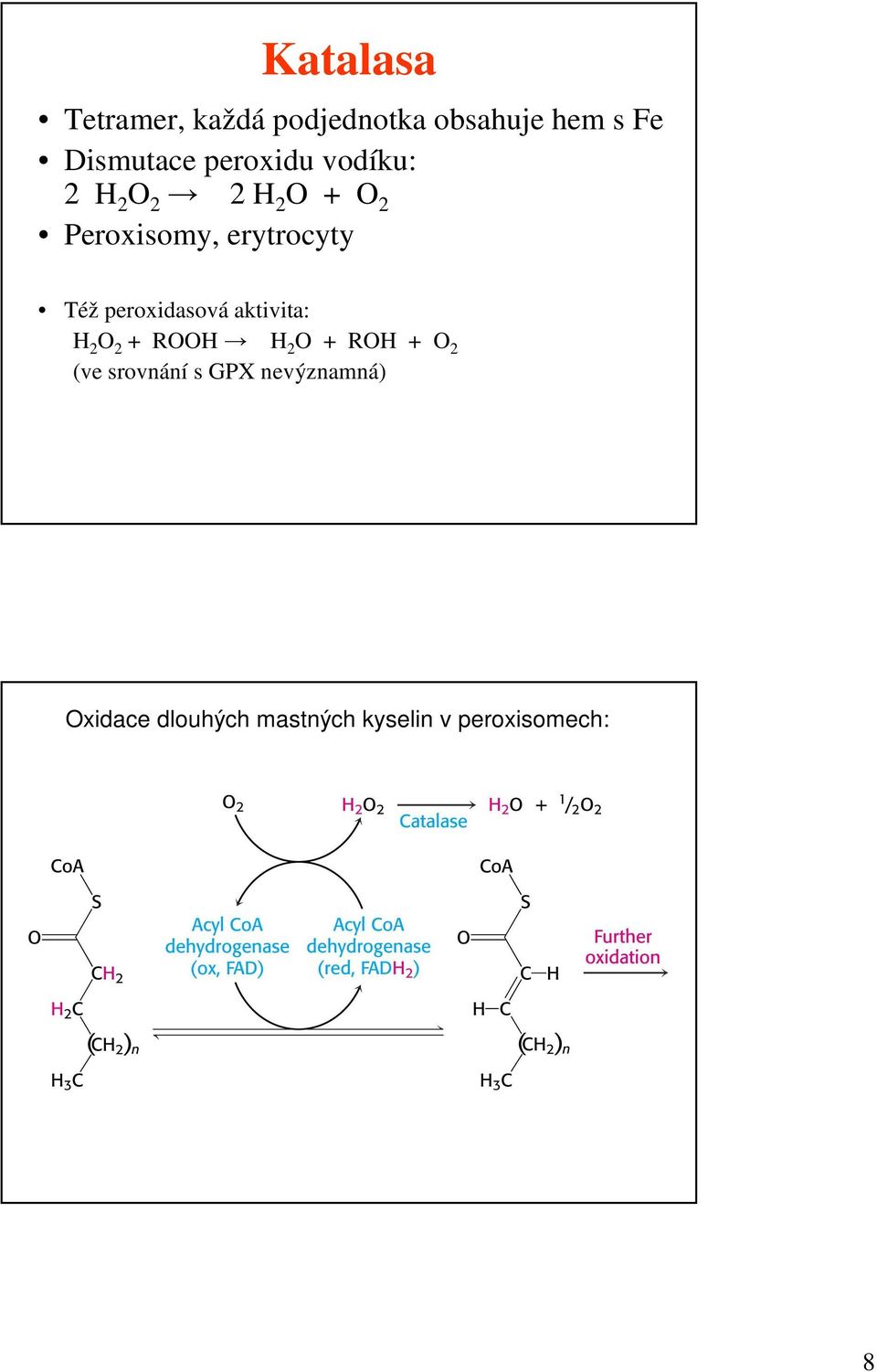 peroxidasová aktivita: H 2 O 2 + ROOH H 2 O + ROH + O 2 (ve