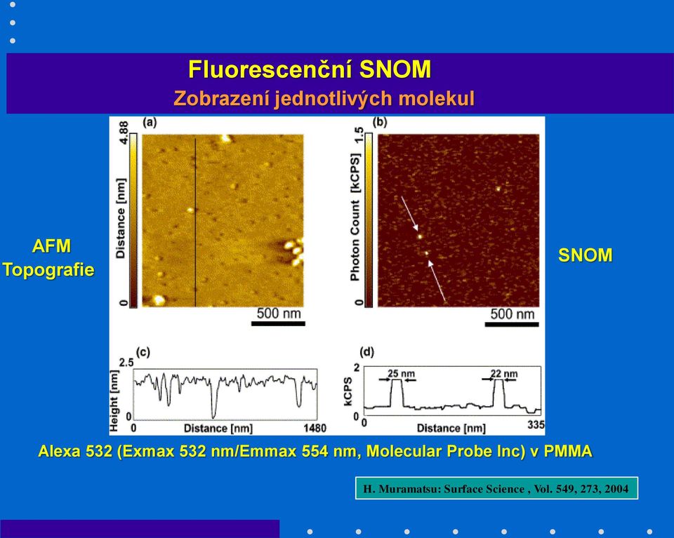 532 nm/emmax 554 nm, Molecular Probe Inc) v