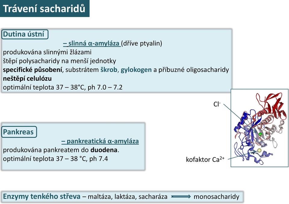 neštěpí celulózu optimální teplota 37 38 C, ph 7.0 7.