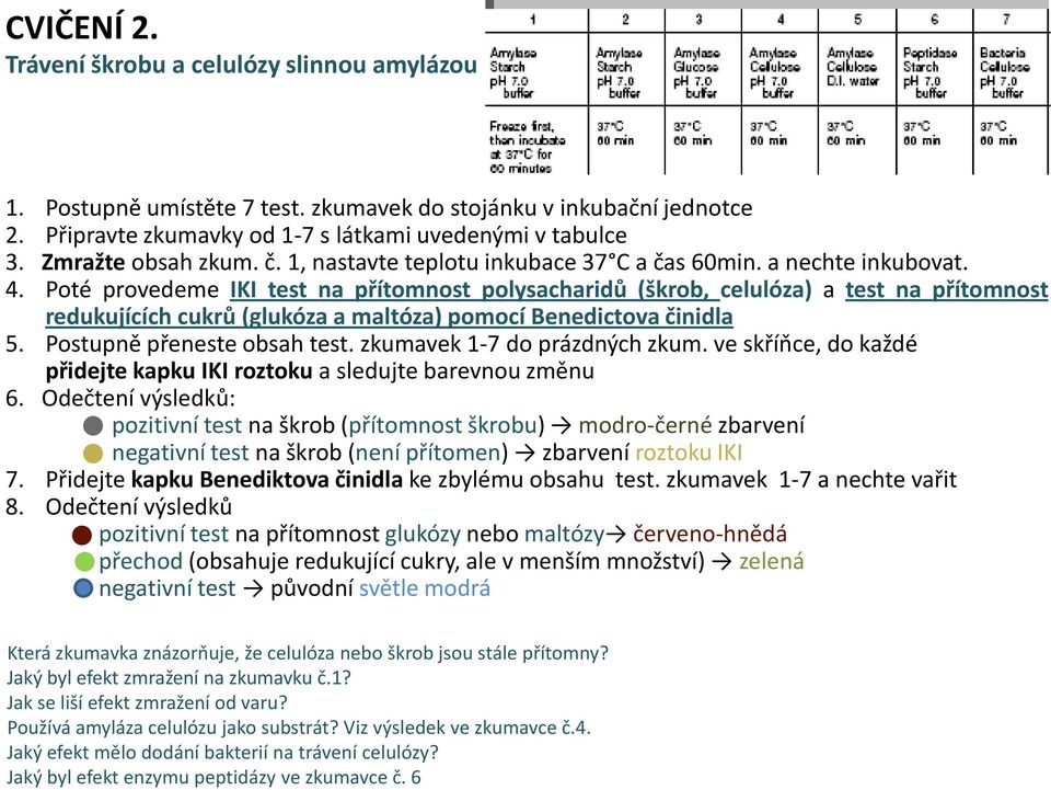 Poté provedeme IKI test na přítomnost polysacharidů (škrob, celulóza) a test na přítomnost redukujících cukrů (glukóza a maltóza) pomocí Benedictova činidla 5. Postupně přeneste obsah test.