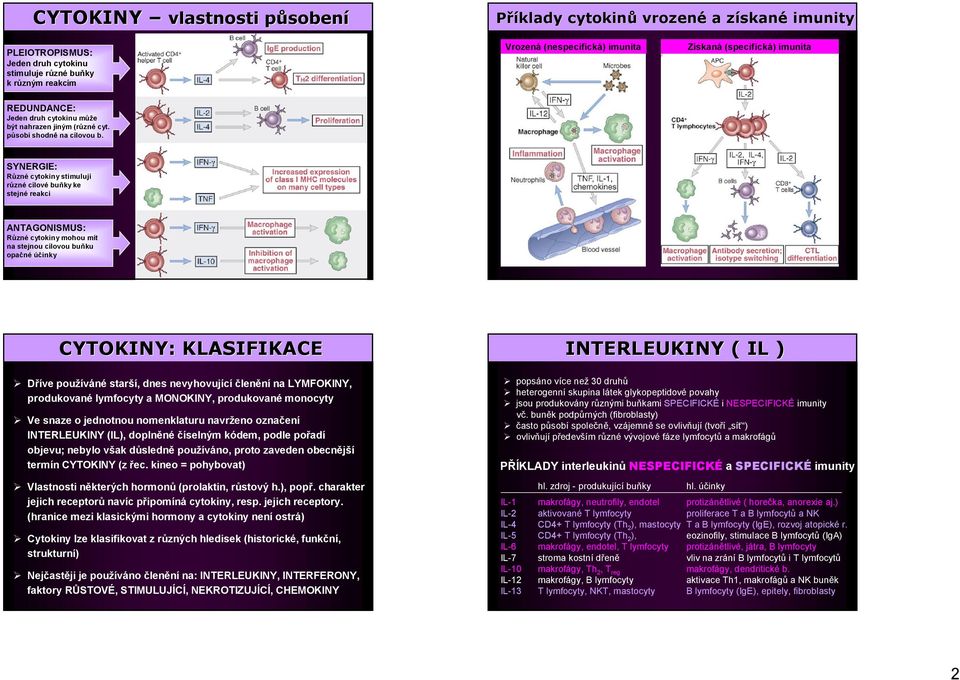 SYNERGIE: Různé cytokiny stimulují různé cílové buňky ke stejné reakci ANTAGONISMUS: Různé cytokiny mohou mít na stejnou cílovou buňku opačné účinky CYTOKINY: KLASIFIKACE Dříve používáné starší, dnes