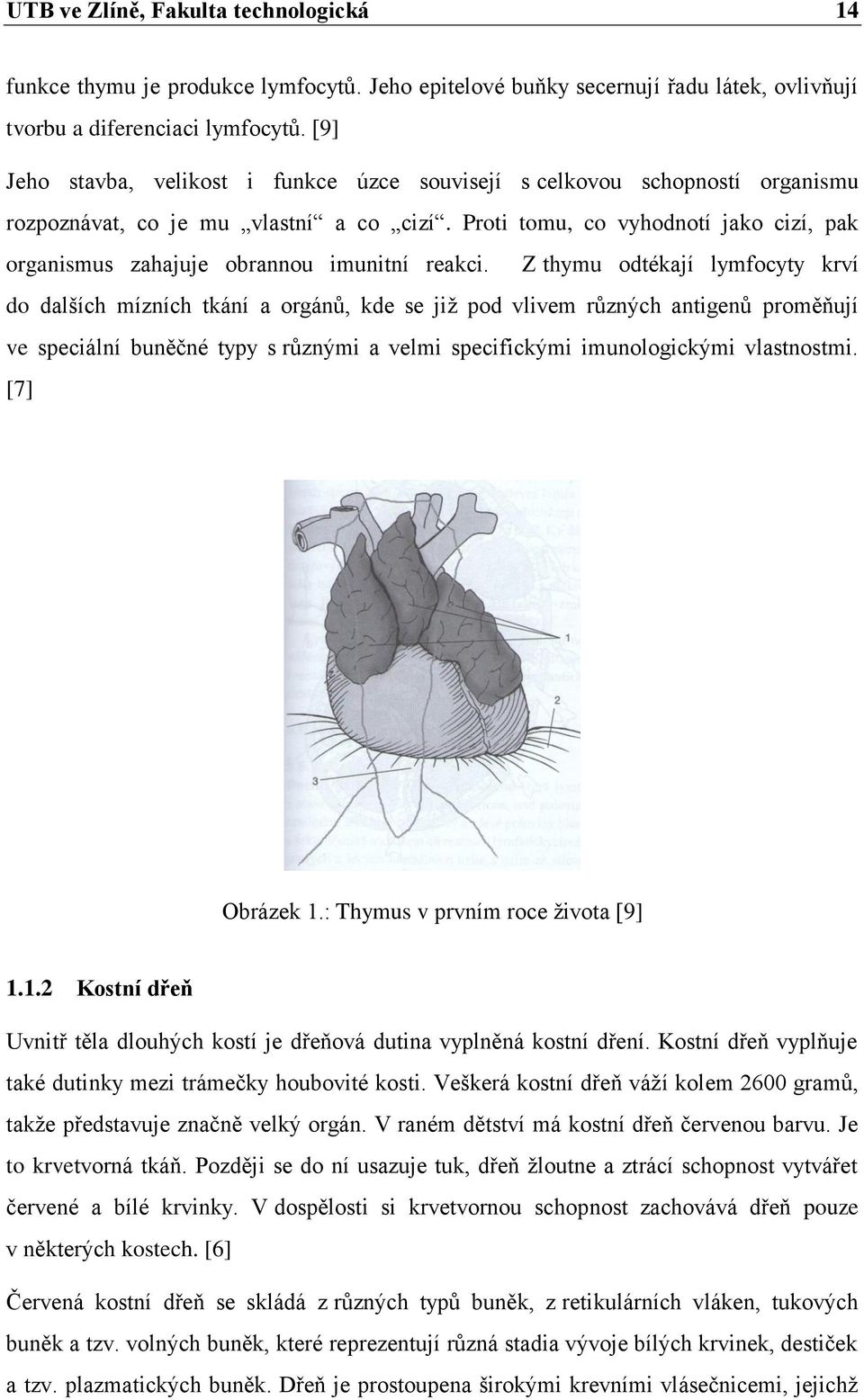 Proti tomu, co vyhodnotí jako cizí, pak organismus zahajuje obrannou imunitní reakci.