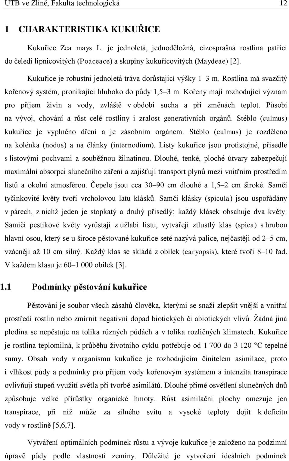 Rostlina má svazčitý kořenový systém, pronikající hluboko do půdy 1,5 3 m. Kořeny mají rozhodující význam pro příjem živin a vody, zvláště v období sucha a při změnách teplot.