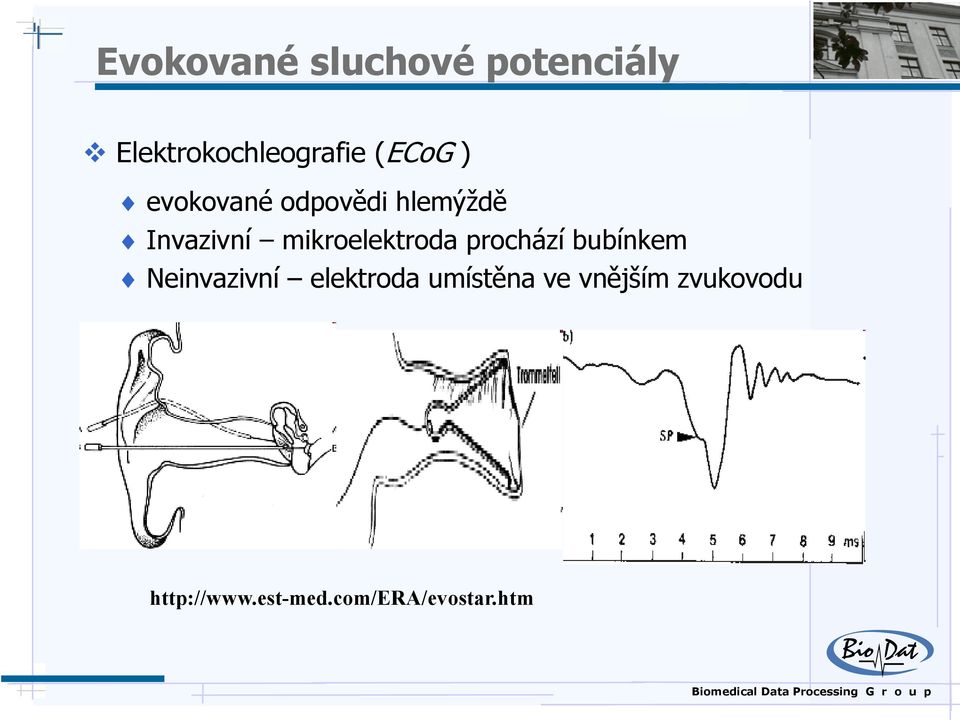 mikroelektroda prochází bubínkem Neinvazivní elektroda