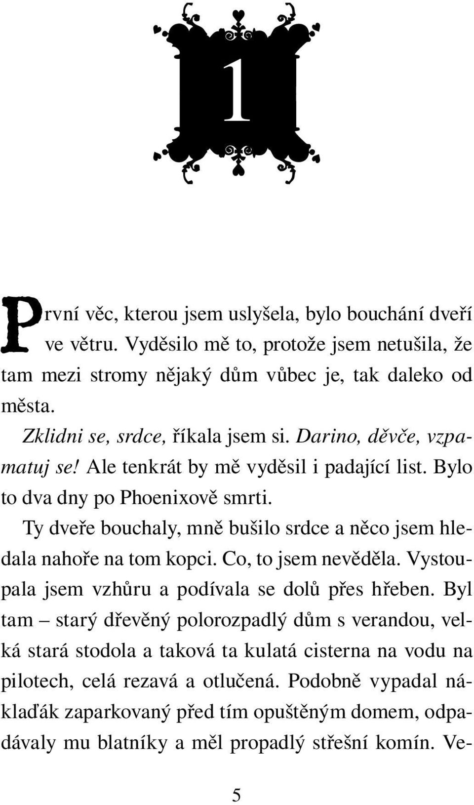 Ty dveře bouchaly, mně bušilo srdce a něco jsem hledala nahoře na tom kopci. Co, to jsem nevěděla. Vystoupala jsem vzhůru a podívala se dolů přes hřeben.