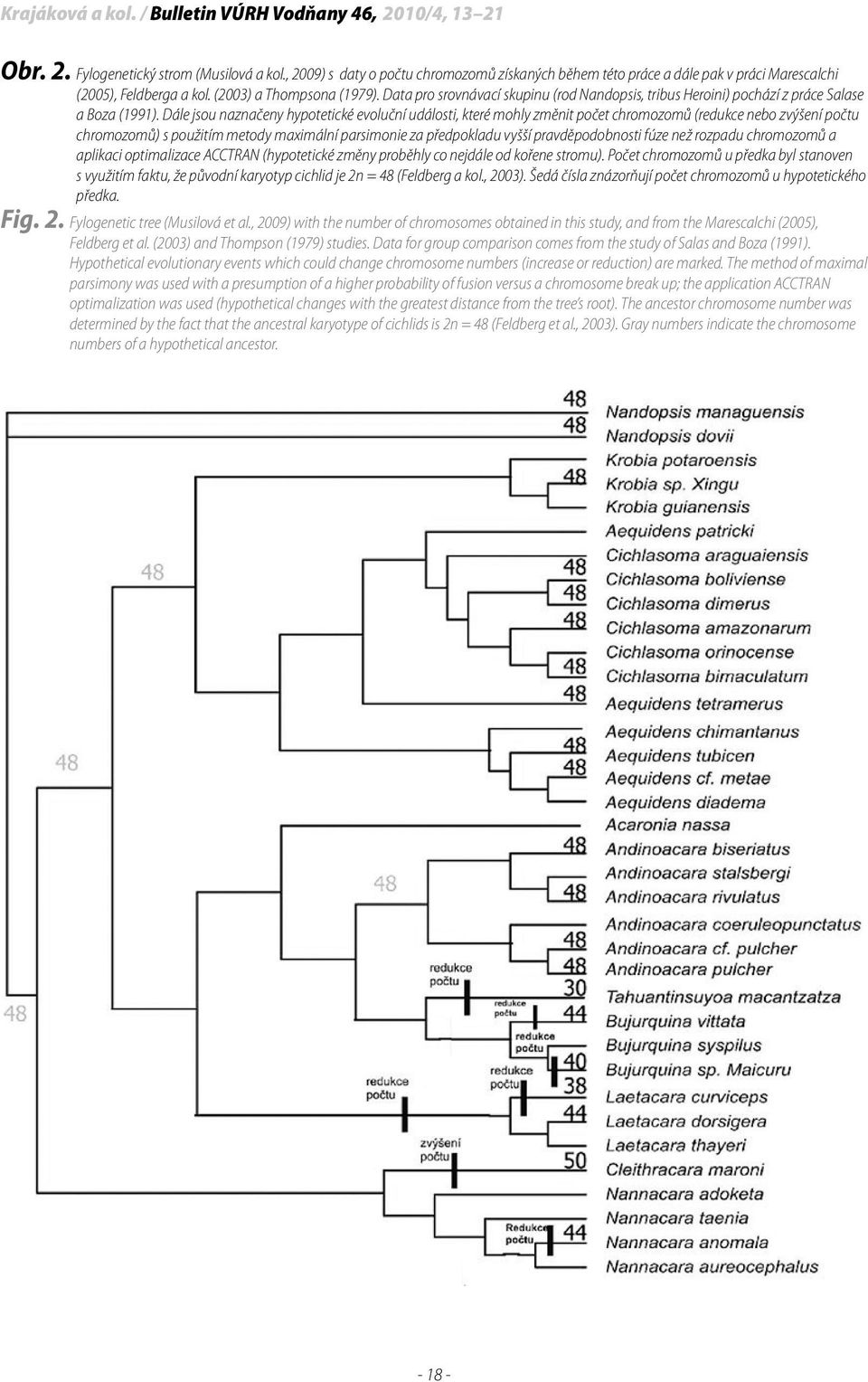 Data pro srovnávací skupinu (rod Nandopsis, tribus Heroini) pochází z práce Salase a Boza (1991).