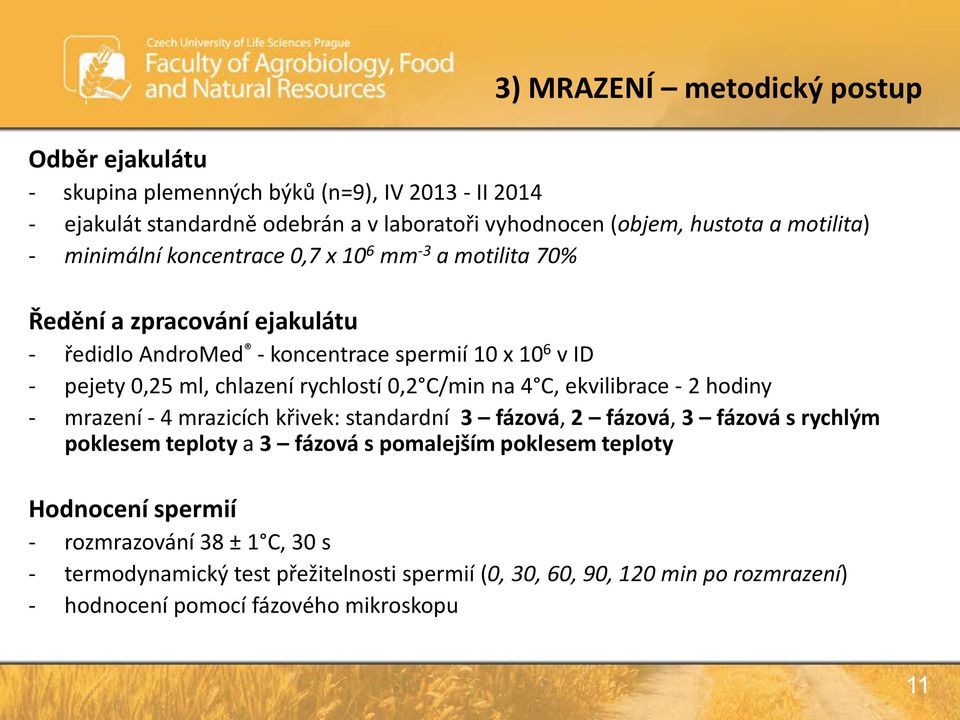 chlazení rychlostí 0,2 C/min na 4 C, ekvilibrace - 2 hodiny - mrazení - 4 mrazicích křivek: standardní 3 fázová, 2 fázová, 3 fázová s rychlým poklesem teploty a 3 fázová s