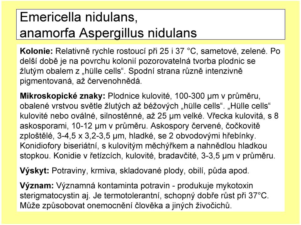 Mikroskopické znaky: Plodnice kulovité, 100-300 µm v průměru, obalené vrstvou světle žlutých až béžových hülle cells. Hülle cells kulovité nebo oválné, silnostěnné, až 25 µm velké.