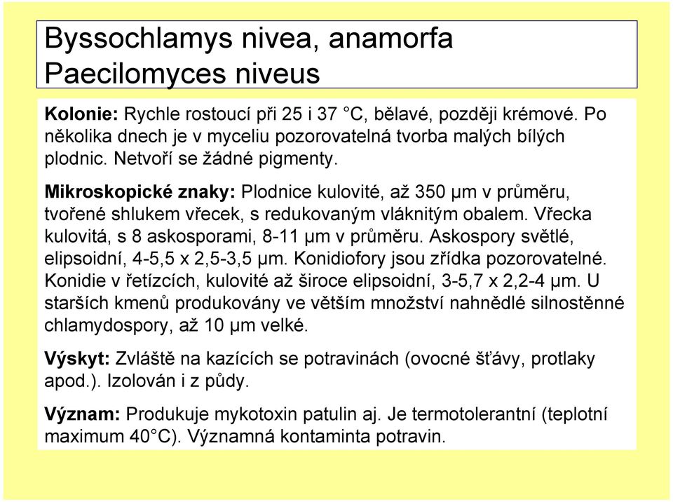 Askospory světlé, elipsoidní, 4-5,5 x 2,5-3,5 µm. Konidiofory jsou zřídka pozorovatelné. Konidie v řetízcích, kulovité až široce elipsoidní, 3-5,7 x 2,2-4 µm.