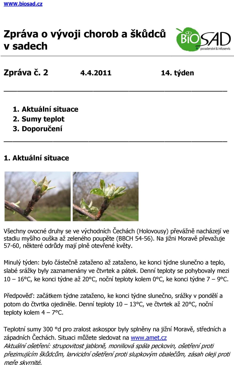 Na jižni Moravě převažuje 57-60, některé odrůdy mají plně otevřené květy.